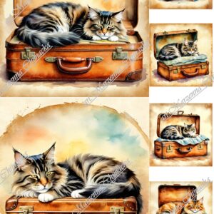 Papier ryżowyB-0028