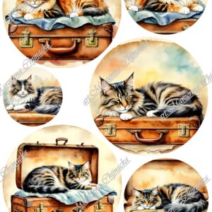 Papier ryżowy B-0029