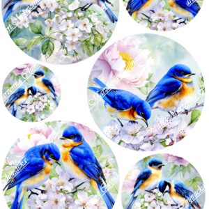 Papier ryżowy B-0421