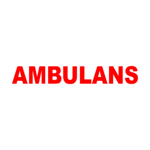 Naklejka AMBULANS 70 × 10 cm na tył karetki i pojazdu medycznego